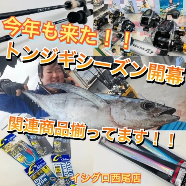 トンジギシーズン開幕！]トンボマグロ釣れ始めました！トンジギ用品